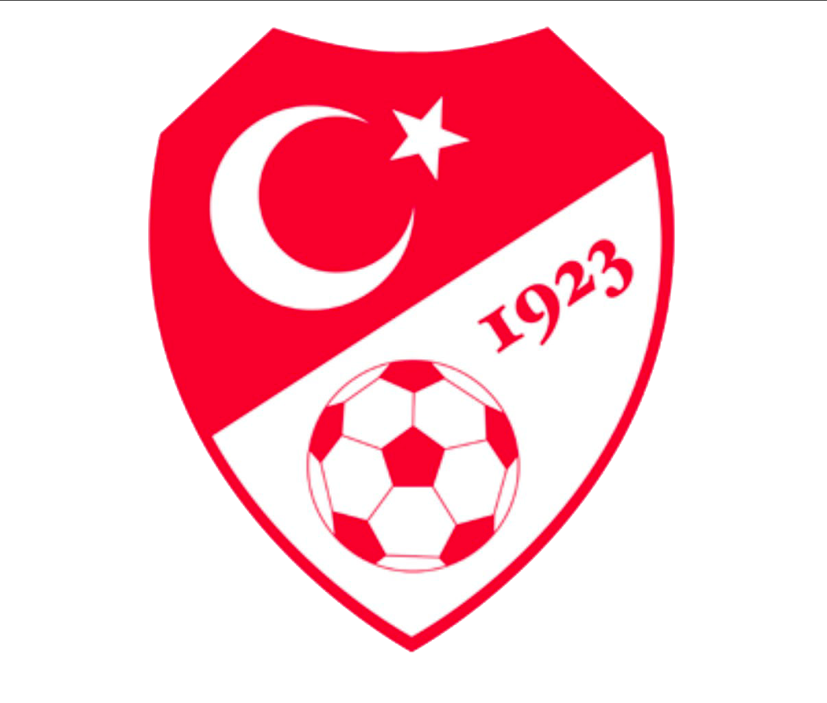 Türkiye Futbol Federasyonu
